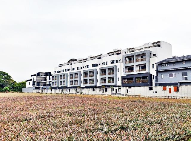 嘉義市大雅路一段別墅